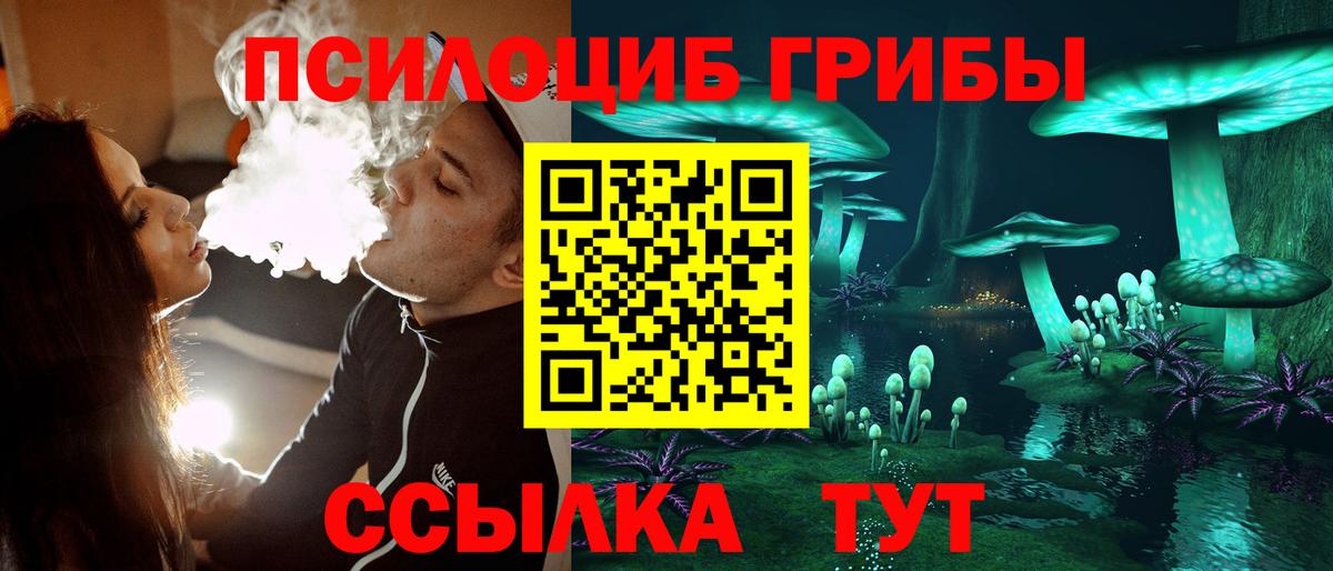 Псилоцибиновые грибы мухоморы Дивногорск