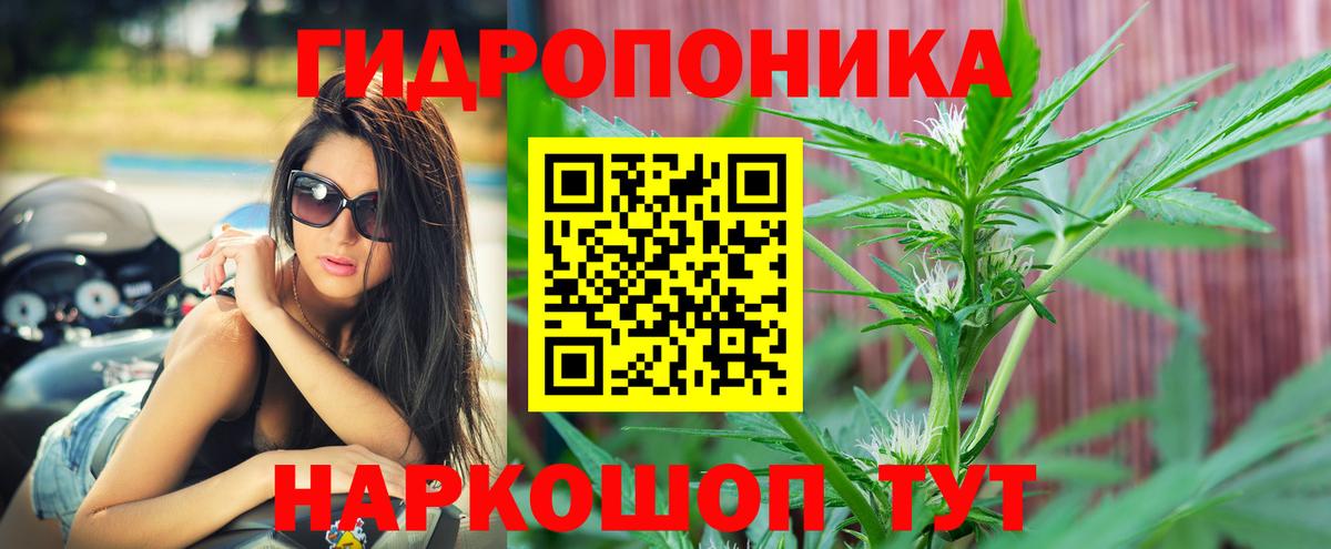 Шишки марихуана план  Бошки марихуана тримм  Дивногорск  Вход с VPN  Марихуана OG Kush 